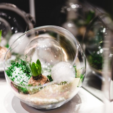 【使用说明】完整的DDOS网页端源码